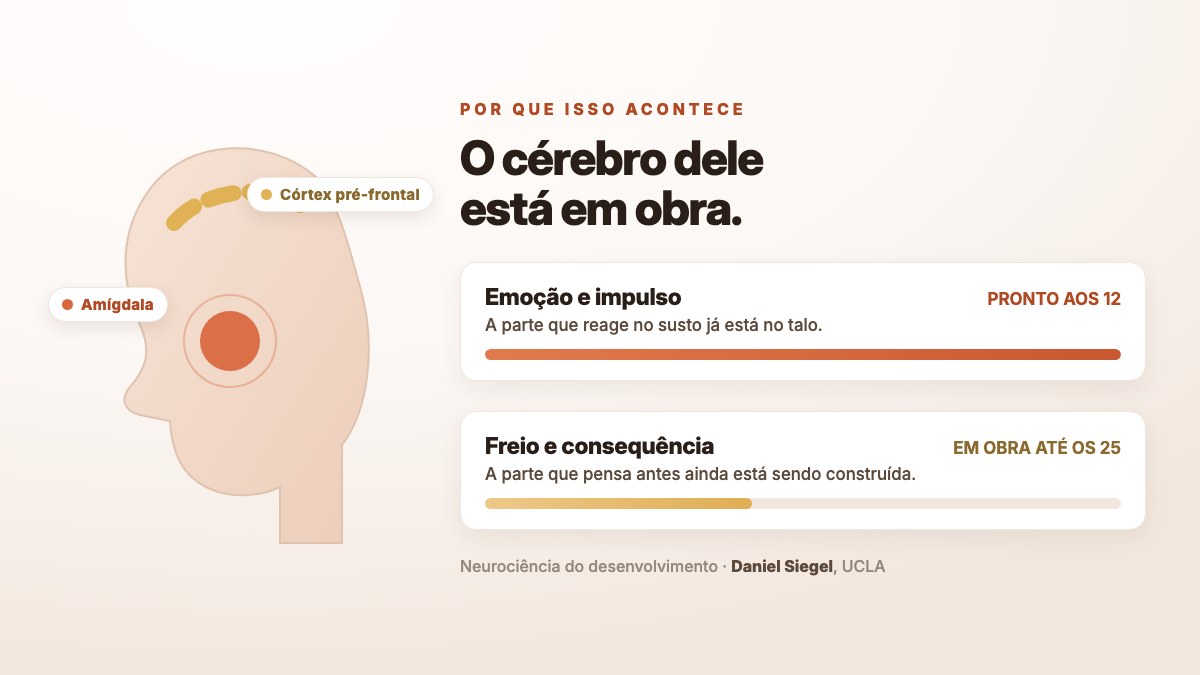 O cérebro do adolescente: a parte da emoção pronta aos 12, o freio em obra até os 25